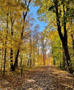 Hiking for Hope - Fall Foliage